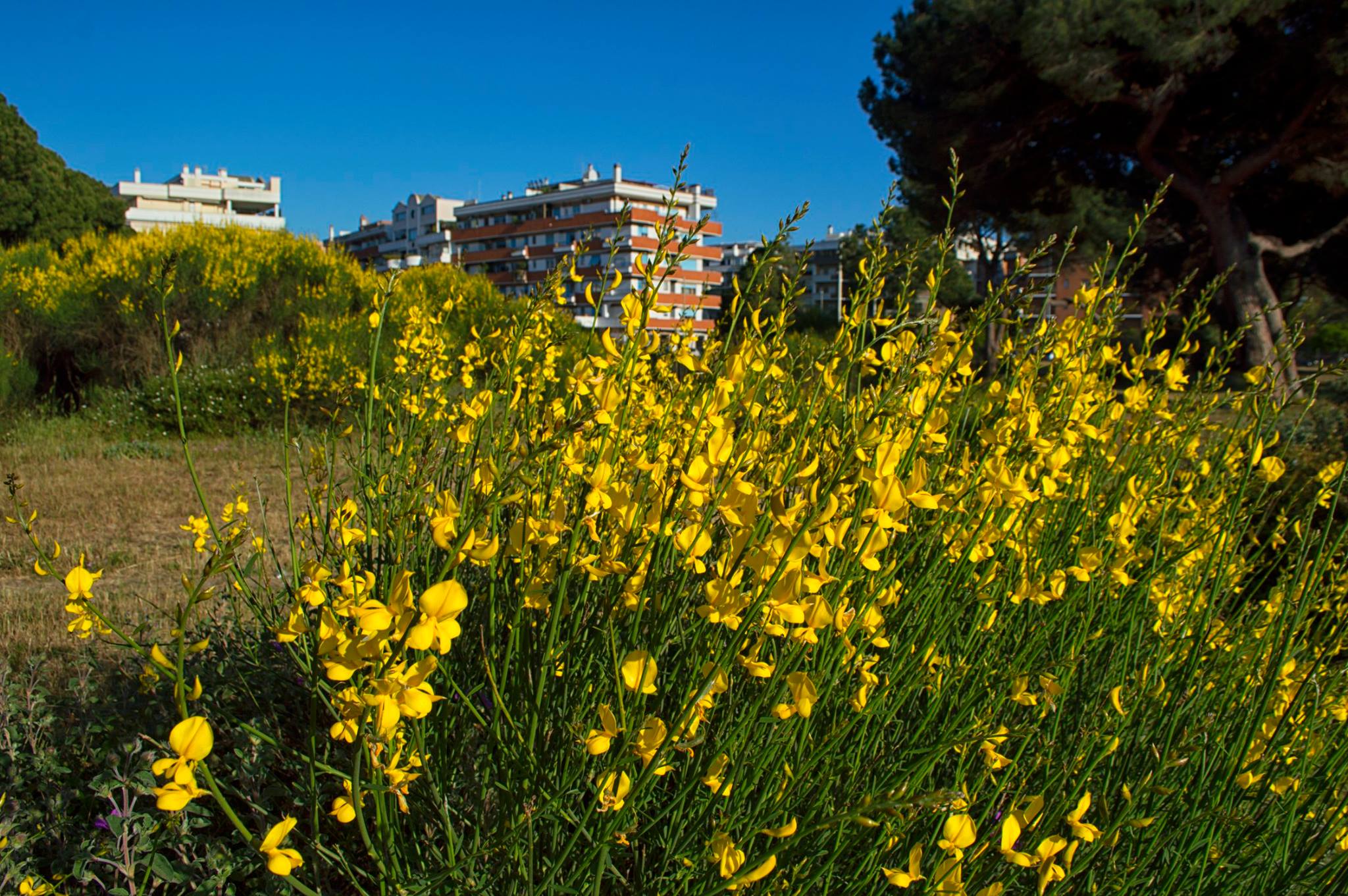 Che cosa chiamiamo davvero natura?